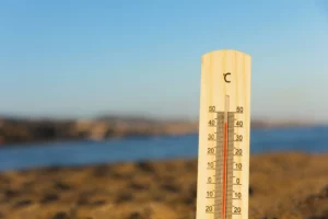 Canicule logement